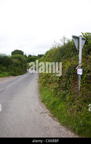 Arrow sign mounted on a street sign support post, directing traffic and/or pedestrians to the left, down a rural lane Stock Photo