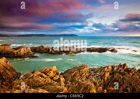 Evening light falls on the rocks of Barricane Beach, Woolacombe,looking towards Baggy Point, North Devon, England, UK Stock Photo