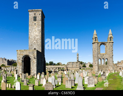 Ruins of St Andrews Cathedral, St Andrews, Fife, Central Scotland, UK Stock Photo