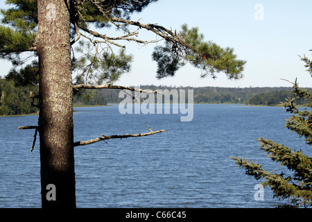 East arm Lake Itasca, Itasca State Park headwaters of the Mississippi river in Minnesota Stock Photo