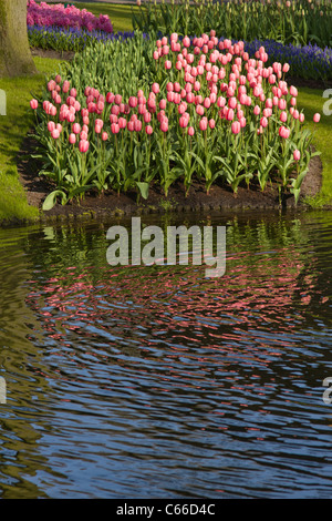 Garden Scene with lake at Keukenhof Gardens in South Holland in The Netherlands. Stock Photo