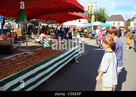 Boys looking at market stall in market at Place d'Eglise, Larmor-Baden, Morbihan, Brittany, France Stock Photo