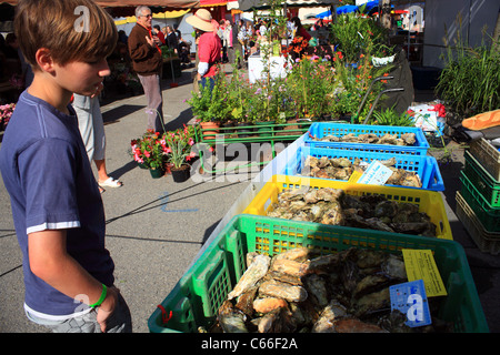 Boy looking at market stall in market at Place d'Eglise, Larmor-Baden, Morbihan, Brittany, France Stock Photo