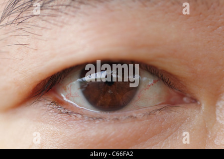 Extreme Close up of  Human Eyes,taken with Macro Lens Stock Photo