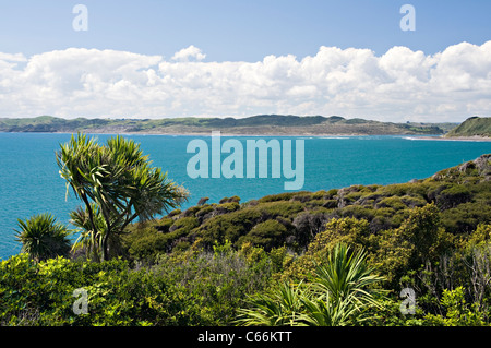 The Beautiful Turquoise Tasman Sea at Manu Bay near Raglan Waikato North Island New Zealand Stock Photo