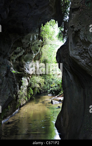 The Beautiful Limestone Mangapohue Natural Bridge in Waitomo Caves Waikato near Hamilton North Island New Zealand NZ Stock Photo