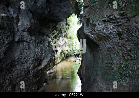 The Beautiful Limestone Mangapohue Natural Bridge in Waitomo Caves Waikato near Hamilton North Island New Zealand NZ Stock Photo