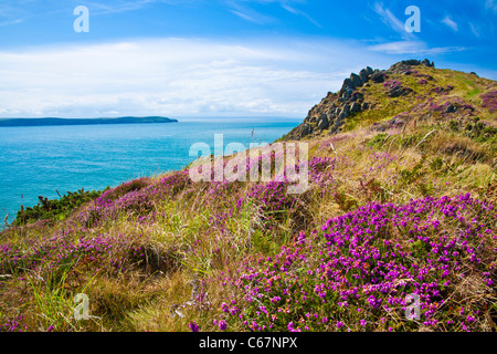 Morte Point near Morthoe, Woolacombe with a view over the Bristol Channel and Baggy Point, North Devon, England, UK Stock Photo