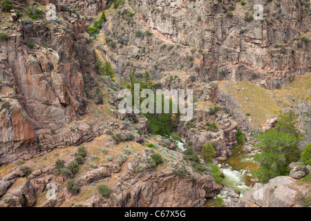 Shell Canyon and Shell Creek, Bighorn National Forest, Wyoming Stock Photo