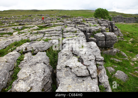 The limestone pavement above Malham Cove, Yorkshire, Yorkshire Dales National Park, England, UK Stock Photo
