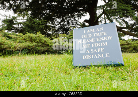 Sign asking public to keep away from an old tree Stock Photo