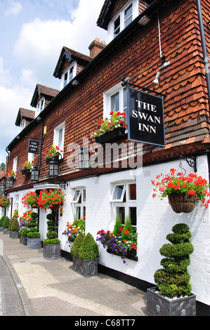 The Swan Inn, Petworth Road, Chiddingfold, Surrey, England, United Kingdom Stock Photo