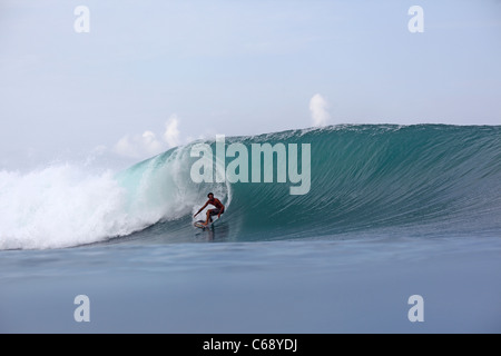 Surfing a perfect wave somewhere in Sumatra, Indonesia. Stock Photo