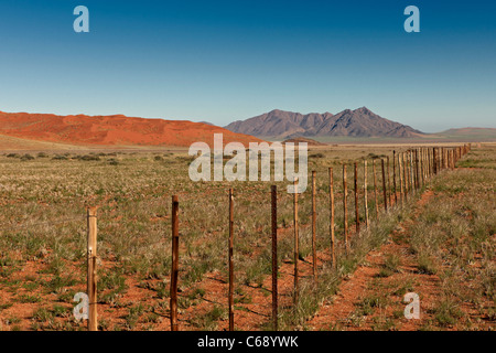 endless fence in desert landscape, secondary road D 707, Namibia, Africa Stock Photo