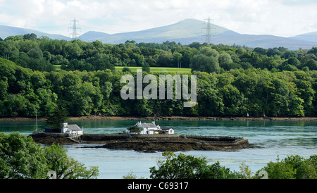 Houses on tiny island in middle of  Menai Straits, Anglesey, North Wales. Stock Photo