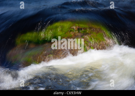 Underwater rock covered with green plant growth at river , Finland Stock Photo