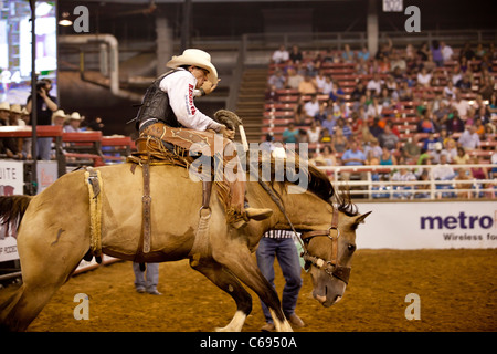 Rodeo Cowboy saddle bronc riding at the Mesquite Championship Rodeo ...