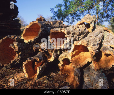 Harvested cork bark, Albufeira, Algarve Region, Portugal Stock Photo