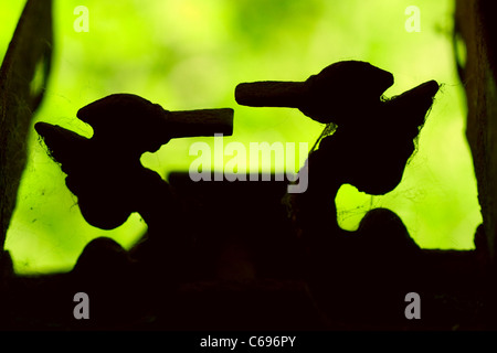 An antique iron scale on green background Stock Photo