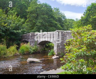 Fingle Bridge over the River Teign, near Drewsteignton, Dartmoor, Devon, England Stock Photo