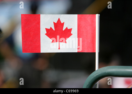 small paper canadian maple leaf flag on canada day in Saskatoon Saskatchewan Canada Stock Photo