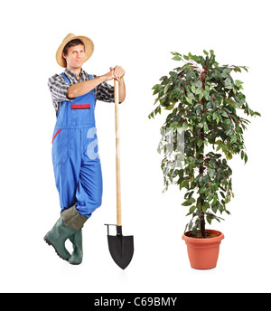 Full length portrait of a male worker holding a shovel and decoration plant Stock Photo