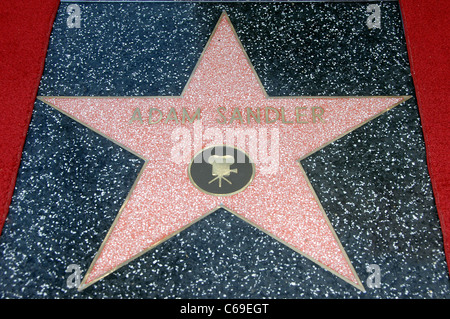 Star on the Hollywood Walk of Fame Ceremony for Adam Sandler, Hollywood Boulevard, Los Angeles, CA February 1, 2011. Photo By: Michael Germana/Everett Collection Stock Photo