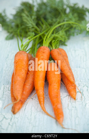 A bunch of carrots Stock Photo
