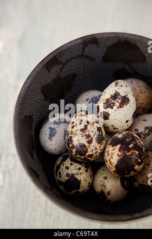 Quails eggs in a bowl Stock Photo