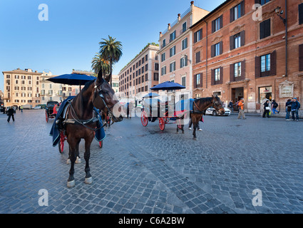 Horse drawn carriages in Piazza Di Spagna await the first tourists of the day. Stock Photo