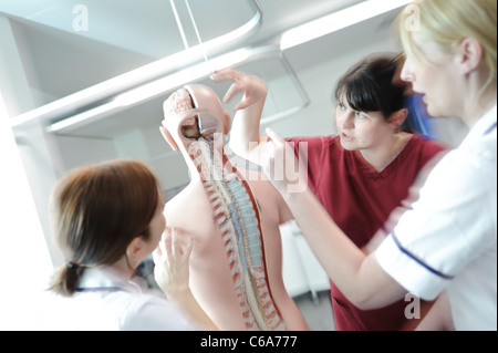 female white student nurses and teacher interacting with human anatomy anatomical model Stock Photo