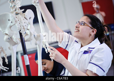 female mixed race university nursing student nurses with dummy human anatomical model skeleton Stock Photo