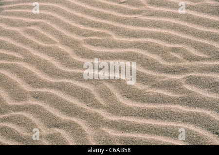 Sand. Platja del Fangar (Fangar Beach). Ebro Delta. Tarragona province. Spain Stock Photo