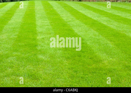 Stripes on lawn after mowing Stock Photo