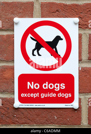 are dogs allowed in shops uk