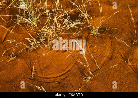 Patterns in red sand made by blowing grass Stock Photo