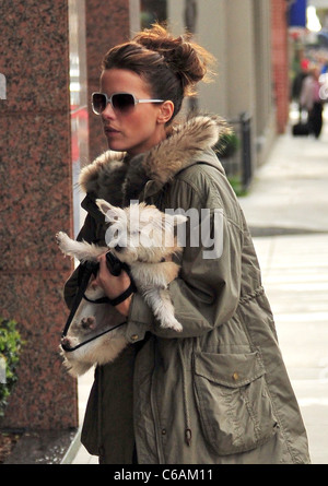 Kate Beckinsale and her husband Len Wiseman shop in Santa Monica with their daughter Lily and pet dog Los Angeles, California - Stock Photo