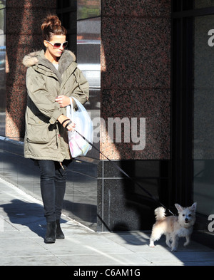 Kate Beckinsale and her husband Len Wiseman shop in Santa Monica with their daughter Lily and pet dog Los Angeles, California - Stock Photo