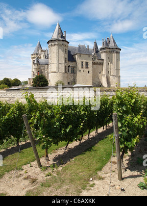 Chateau de Saumur with vineyard in the foreground, Anjou, region, Loire valley, France Stock Photo