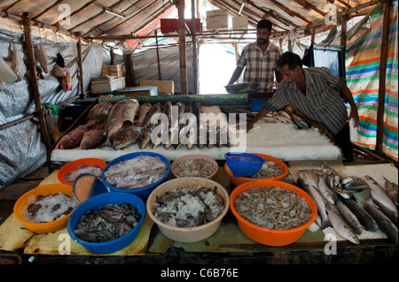 Fishermen's Market Stall near the Chinese Fishing Nets in Fort Cochin, Kerala, India Stock Photo