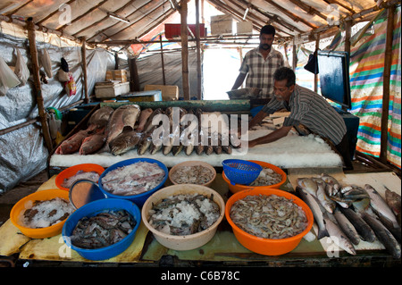 Fishermen's Market Stall near the Chinese Fishing Nets in Fort Cochin, Kerala, India Stock Photo