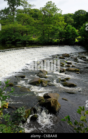 river derwent weir chatsworth park estate derbyshire england uk Stock Photo