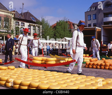 Cheese-porters carrying wheels of Gouda cheese on sledge at Alkmaar Cheese Market, Alkmaar, Noord Holland, Kingdom of The  Netherlands Stock Photo