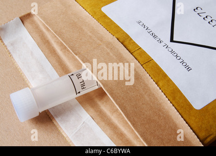 DNA saliva sample in padded envelope marked biological substance ready to post to hospital. Stock Photo