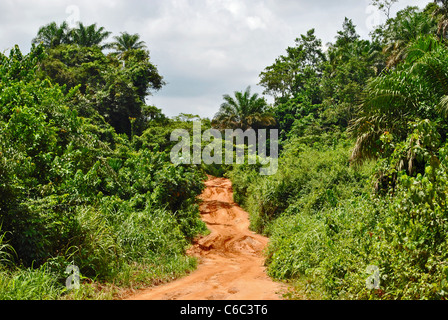 Road through the bush near Kolahun, Liberia Stock Photo