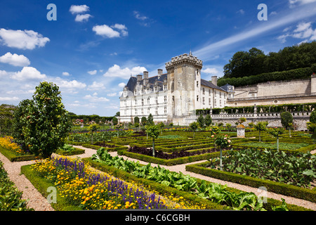 Gardens and french chateau at Villandry, Indre et Loire, France, Europe Stock Photo