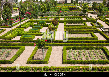 Villandry formal gardens, Indre et Loire, France, Europe Stock Photo