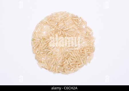 Oryza sativa. Long grain brown rice on a white background. Asian rice. Stock Photo