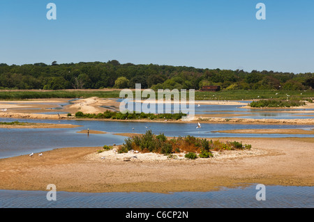 A view from a hide at Minsmere bird reserve , Suffolk , England , Britain , Uk Stock Photo