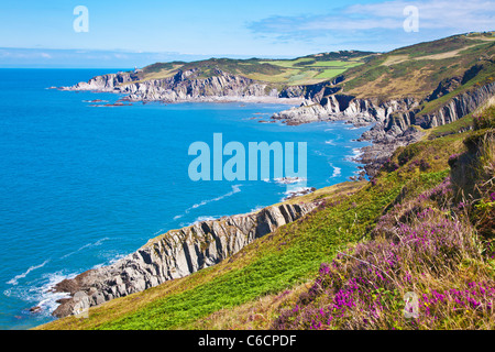 View of the North Devon coastline towards Rockham Bay and Bull Point, near Woolacombe and Morthoe, Devon, England, UK Stock Photo